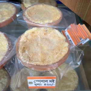 স্পেশাল দই